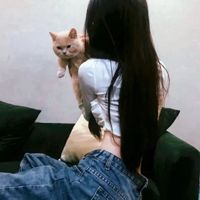 科搜研之女第24季 海报